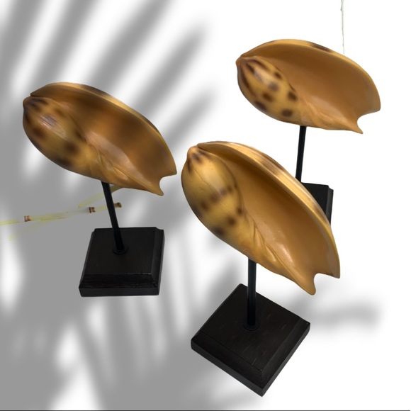 Shell Decor - Picture 5 of 8